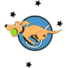 SOUTHERN CROSS FLYBALL CLUB INC.